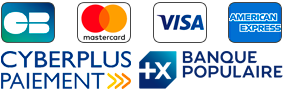 Logo Banque Populaire et cartes bancaires