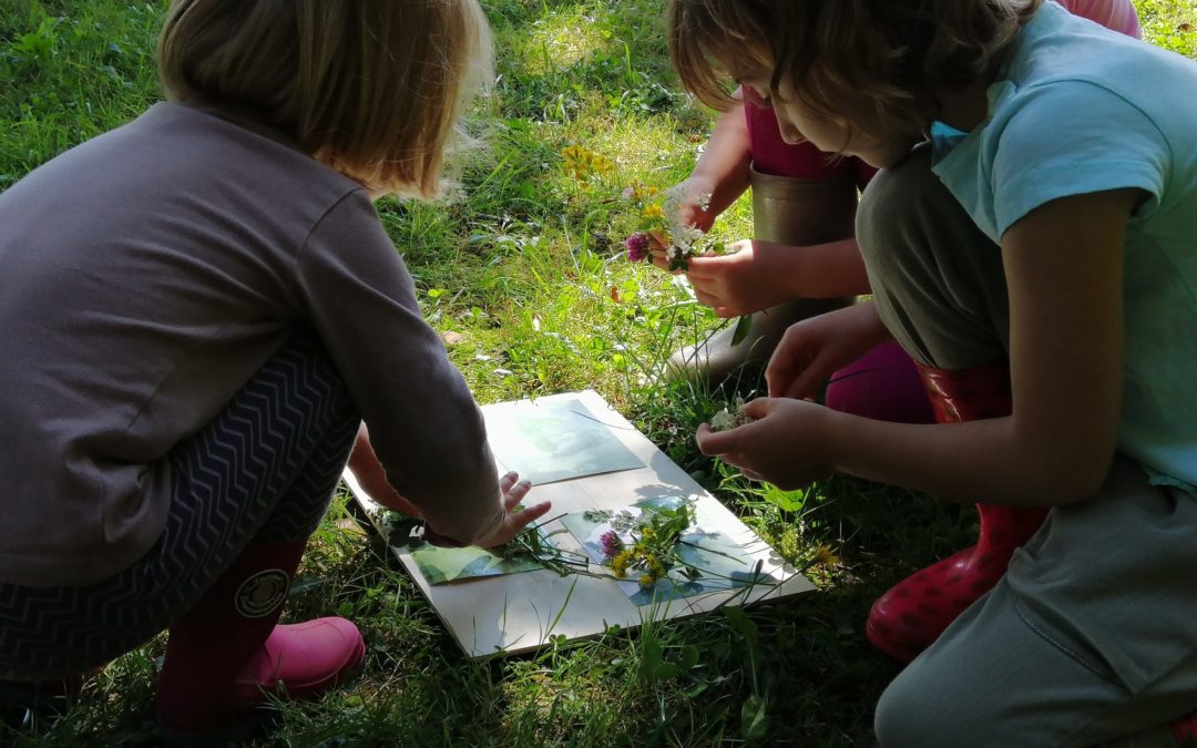 Idée d’activité de vacances en famille : créer un herbier cyanotype