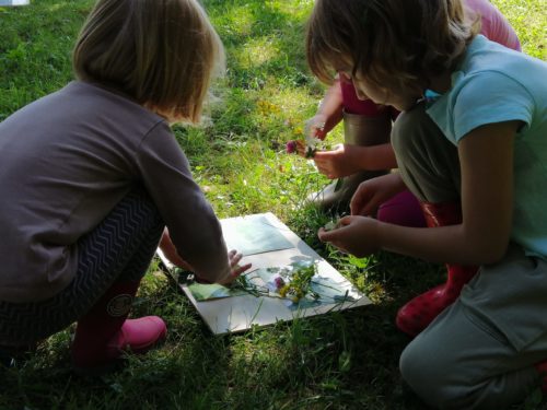 Atelier cyanotype avec des enfants