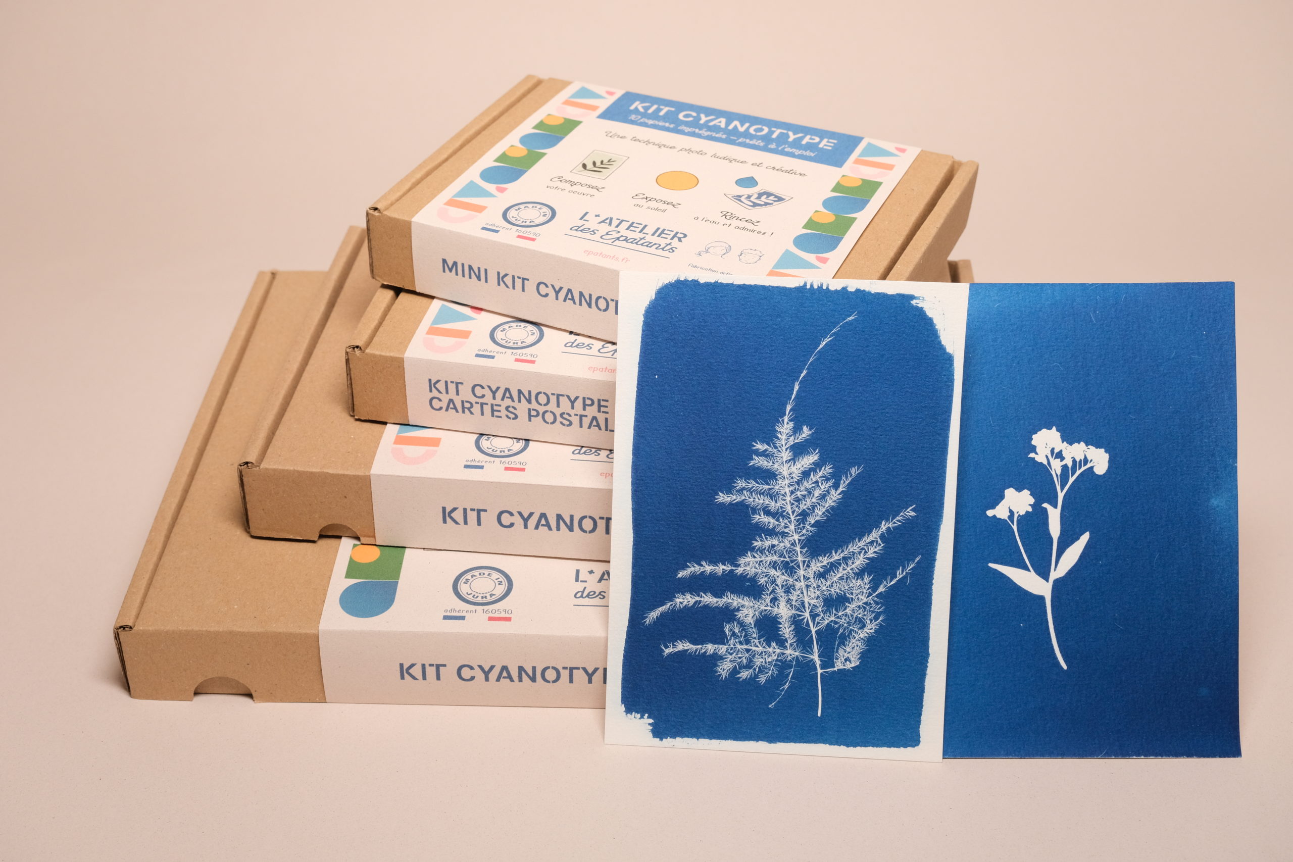 Kits cyanotype DIY