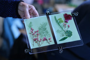 Tutoriel cyanotype