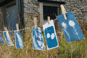atelier cyanotype nature