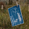 Cyanotype-atelier