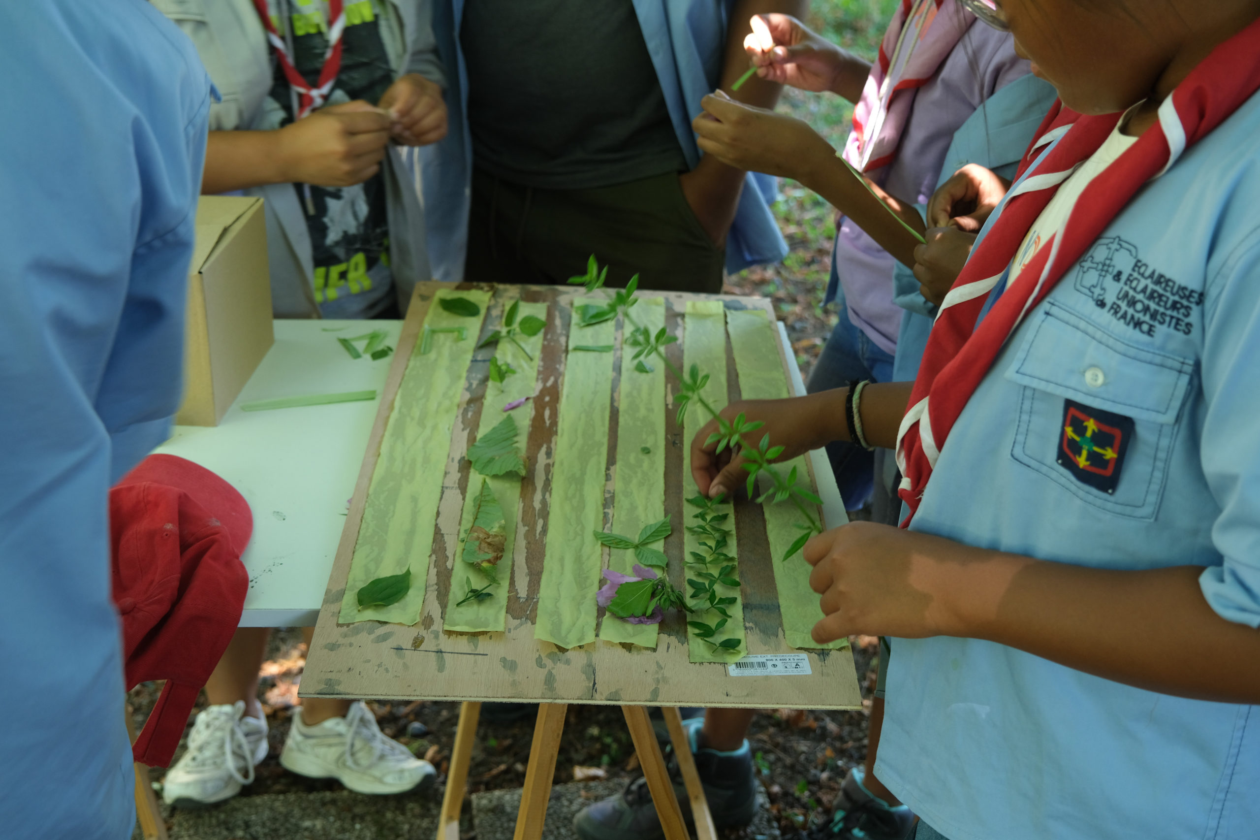 Atelier cyanotype avec des enfants