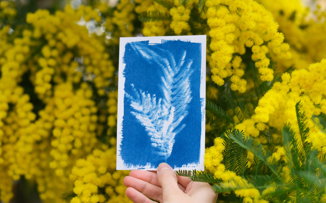 Lampe UV ou lumière du soleil : comment insoler un cyanotype ?