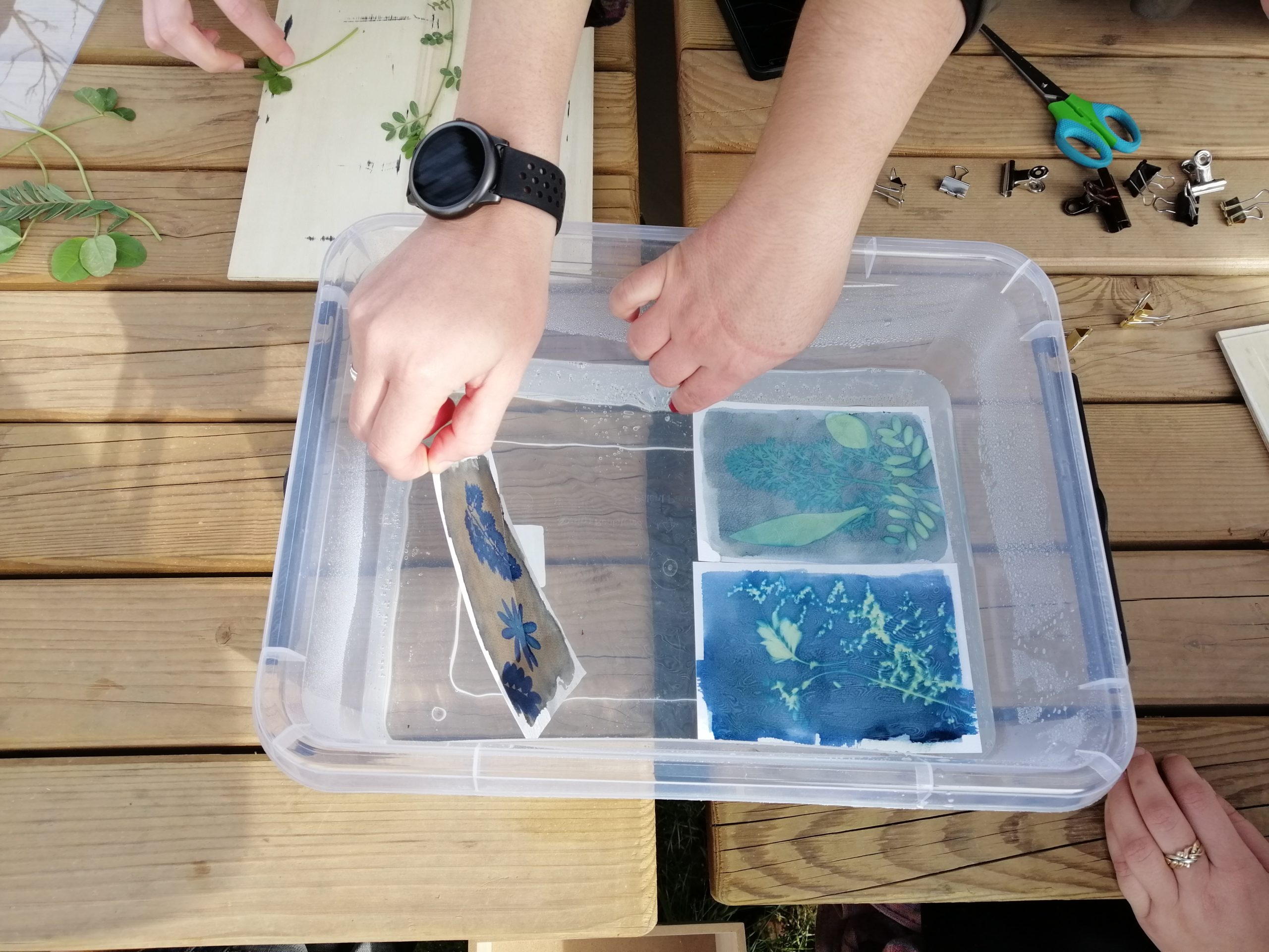 Atelier créatif autour du cyanotype à Lyon 