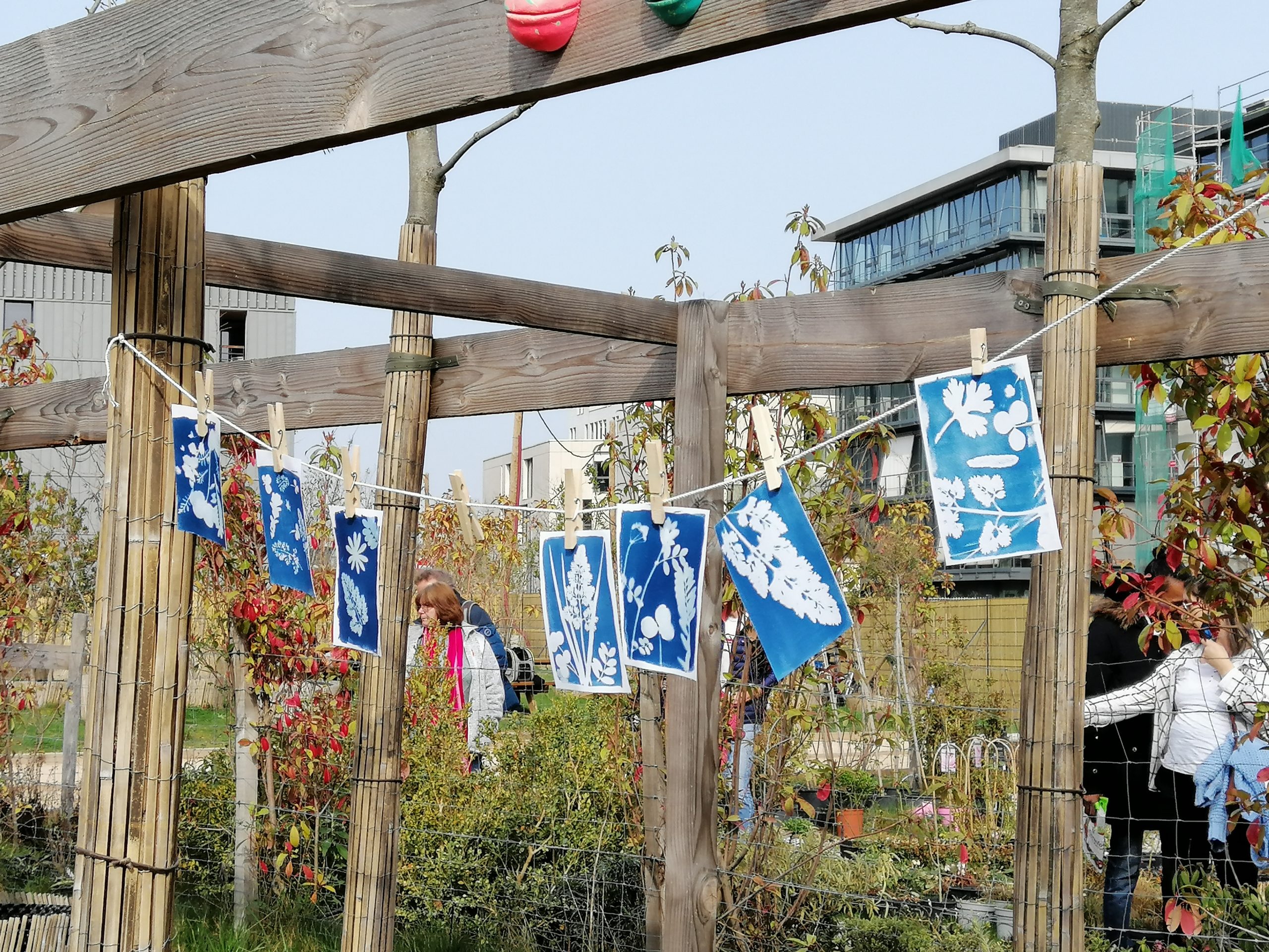 Atelier cyanotype Lyon SPV Atelier de découverte du cyanotype Lyon tout public