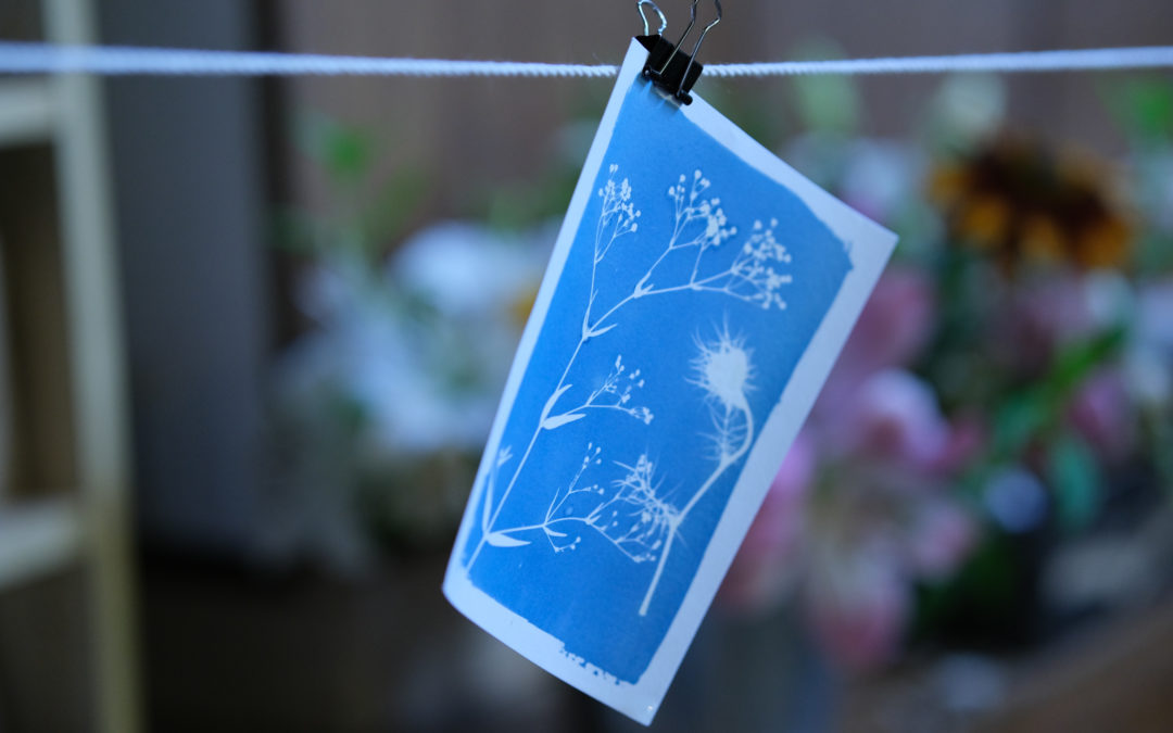 Quelle durée d’exposition pour un cyanotype en août ?