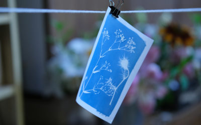 Quelle durée d’exposition pour un cyanotype en août ?