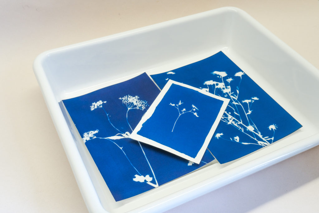 Bac de rinçage pour cyanotype taille A4