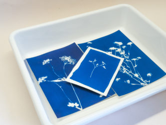 Bac de rinçage pour cyanotype taille A4