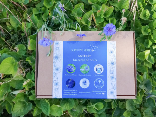 Coffret cadeau cyanotype L'Atelier des Epatants La Pousse Verte