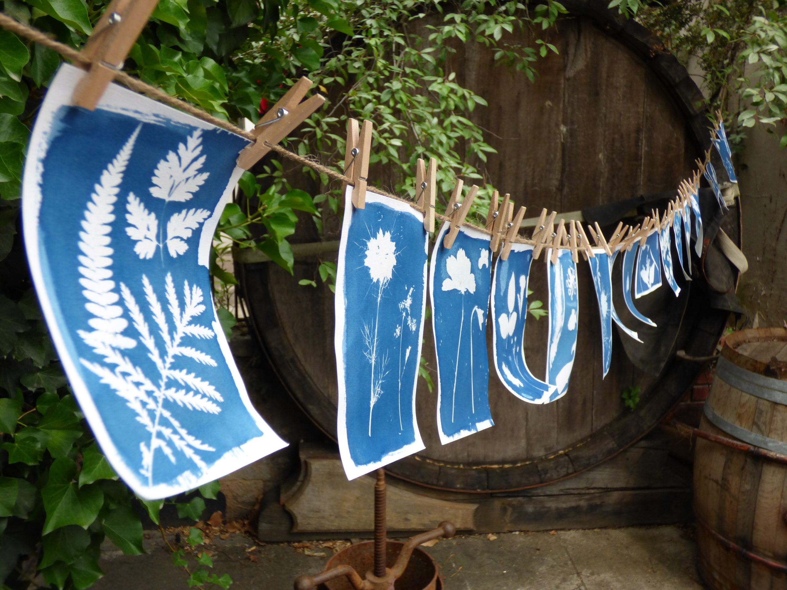 Dijon La Cuverie cyanotype 2022 Atelier cyanotype à Dijon à la Cuverie