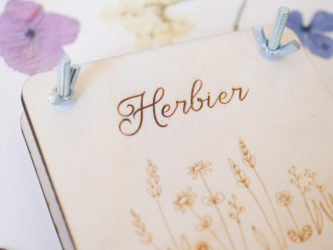 Presse à fleurs motif herbier