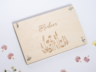 Herbier grand format