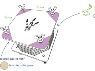 Presse à fleurs 12x12cm, motif "Lavande", coins prune
