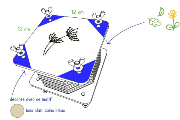 Presse à fleurs 12x12cm, motif "Ombelle", coins bleus