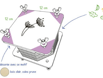 Presse à fleurs 12x12cm, motif "Ombelle", coins prune