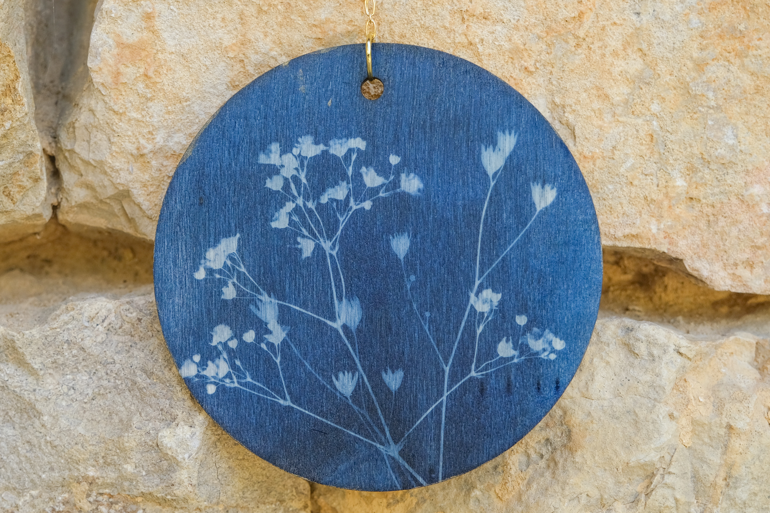 Blog • Tout pour le cyanotype