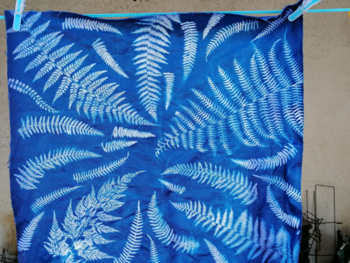 cyanotype sur tissu de coton