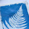 cyanotype sur papier artisanal