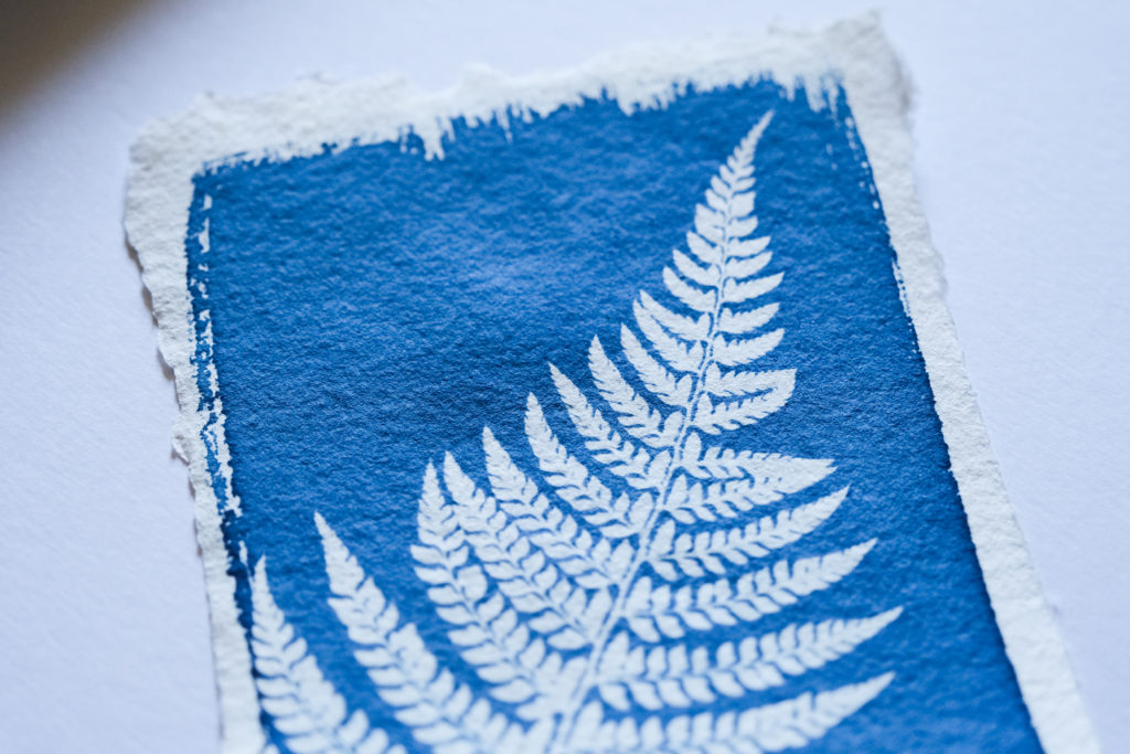 cyanotype sur papier artisanal