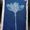 papier artisanal pour cyanotype