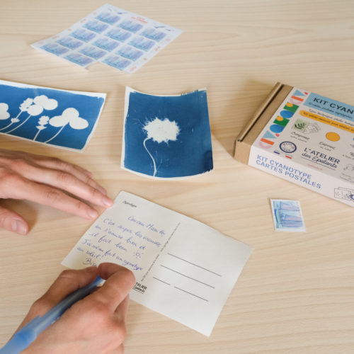 Cyanotype sur carte postale