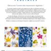 Aperçu du livre Impressions Végétales ISBN 9782383381037