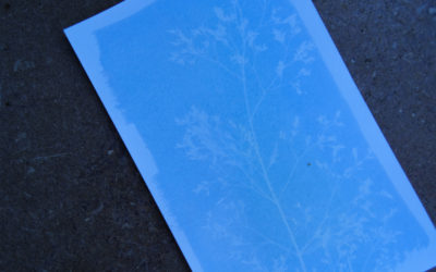 5 erreurs courantes en cyanotype (et comment les éviter)