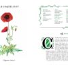 Livre : Grimoire d'une cueilleuse – Image 9