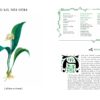 Livre : Grimoire d'une cueilleuse – Image 8
