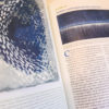 livre cyanotype l'art et la technique, par Christina Z. Anderson