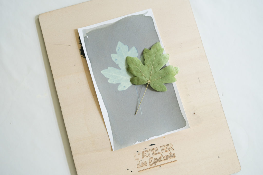 cyanotype-non-rince-2