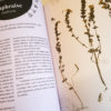 Livre : Plantes et jardins de sorcières – Image 2