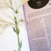 Livre : Plantes et jardins de sorcières – Image 4