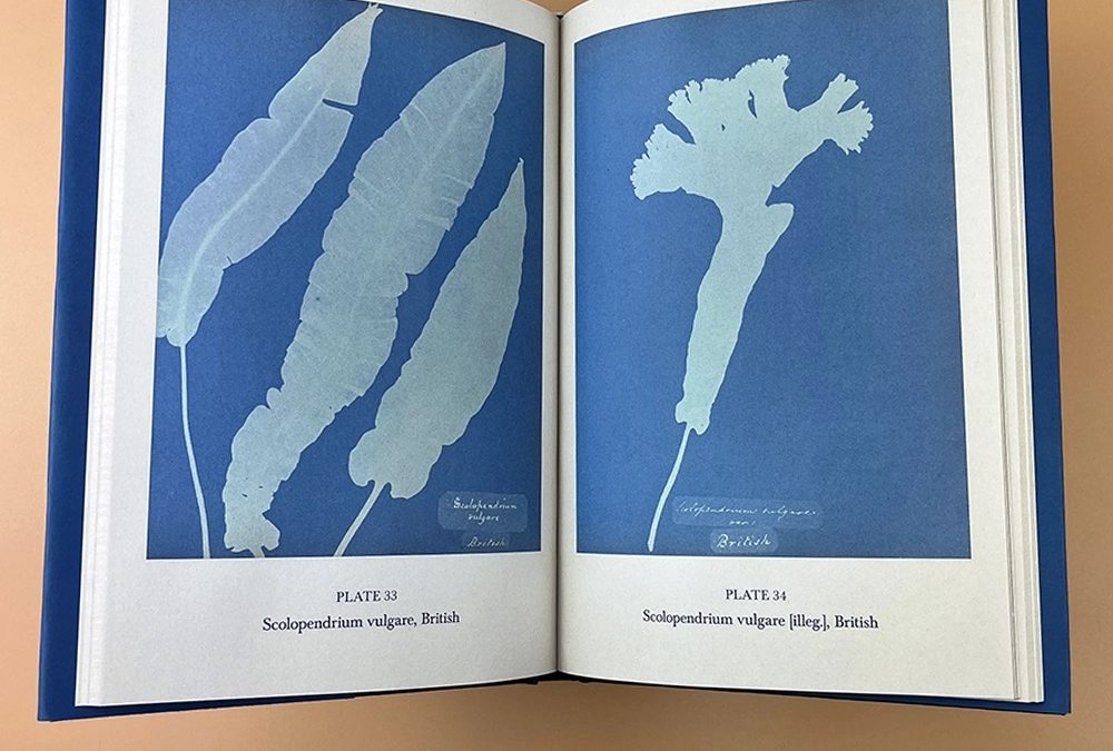 « Je cherche un livre sur le cyanotype… » Besoin de conseils pour vous y retrouver ?