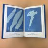 Livre : Cyanotypes of British and Foreign Ferns par Anna Atkins – Image 4