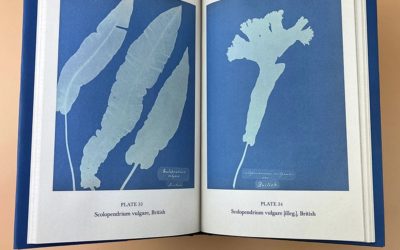 « Je cherche un livre sur le cyanotype… » Besoin de conseils pour vous y retrouver ?