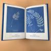 Livre : Cyanotypes of British and Foreign Ferns par Anna Atkins – Image 3