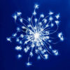 Livre : Cyanotypes, appropriations contemporaines – Image 5