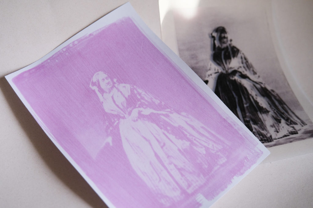 Cyanotype rose rosatype