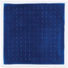 cyanotype thomas paquet