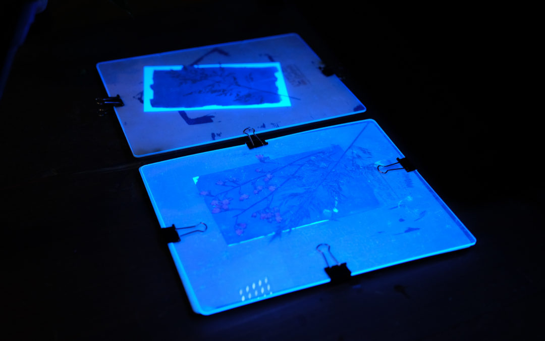 Quelle lampe UV choisir pour le cyanotype ?