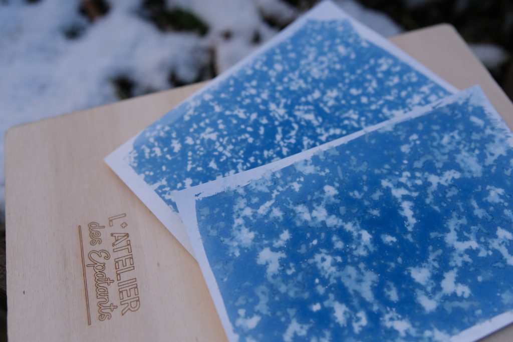 cyanotypes sous la neige