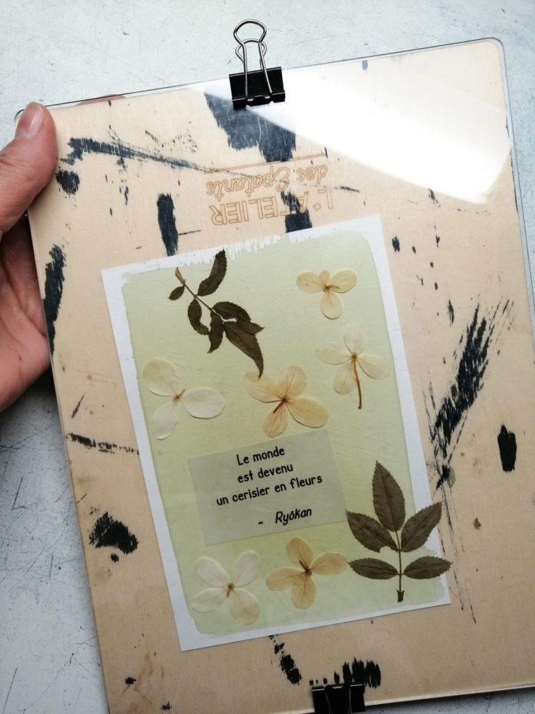 haiku- cyanotype & haiku