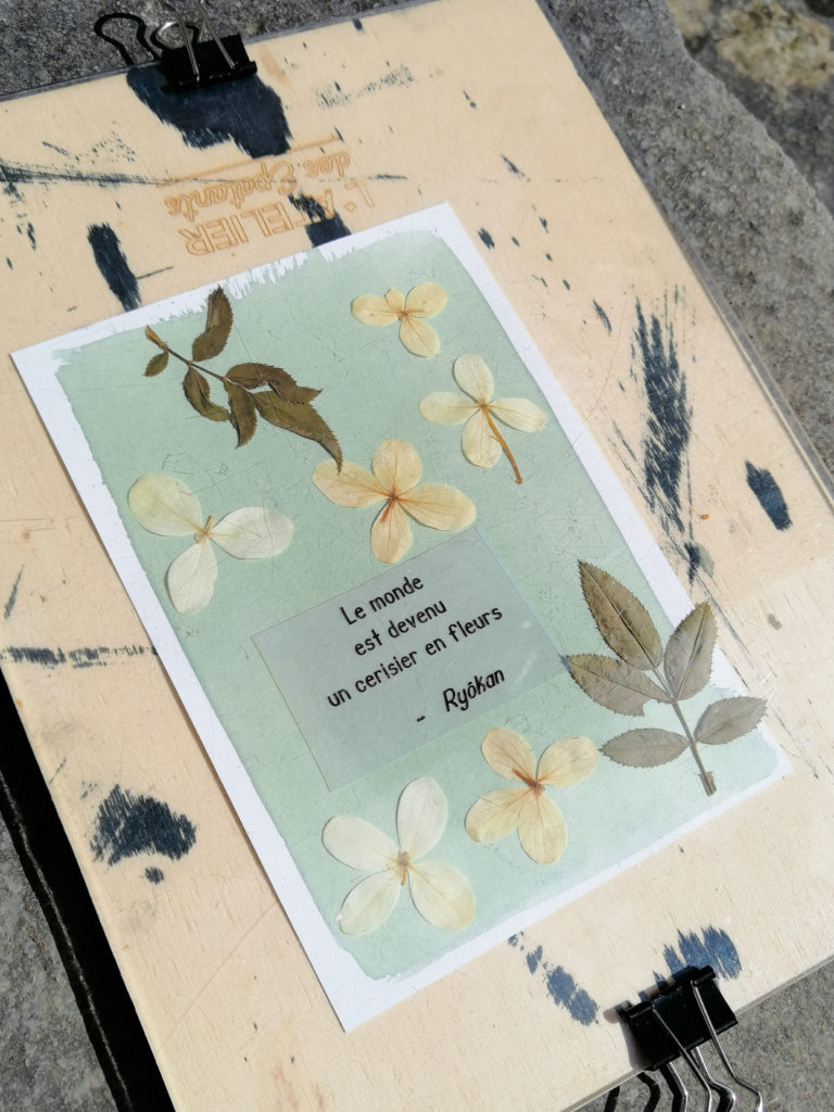 haiku--2