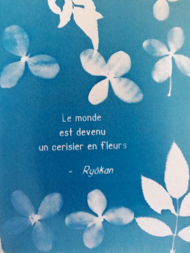 haiku--4 cyanotype & haiku