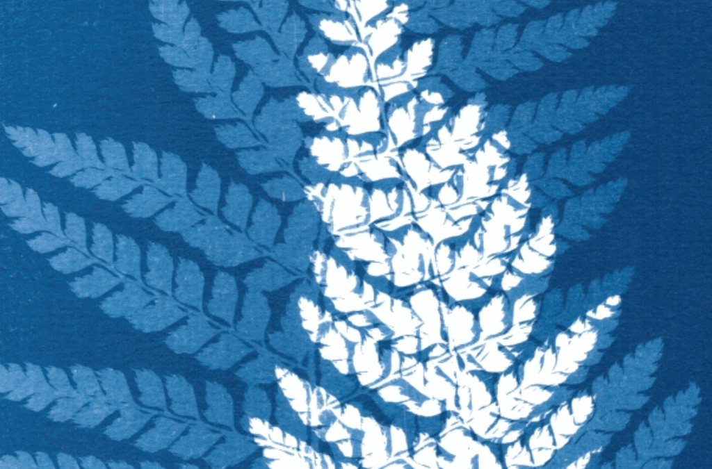 La double exposition cyanotype