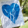 Livre : L'Art du Cyanotype – Image 3